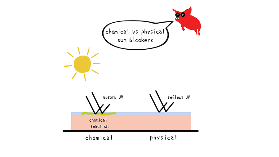 Undserstanding Sunscreens