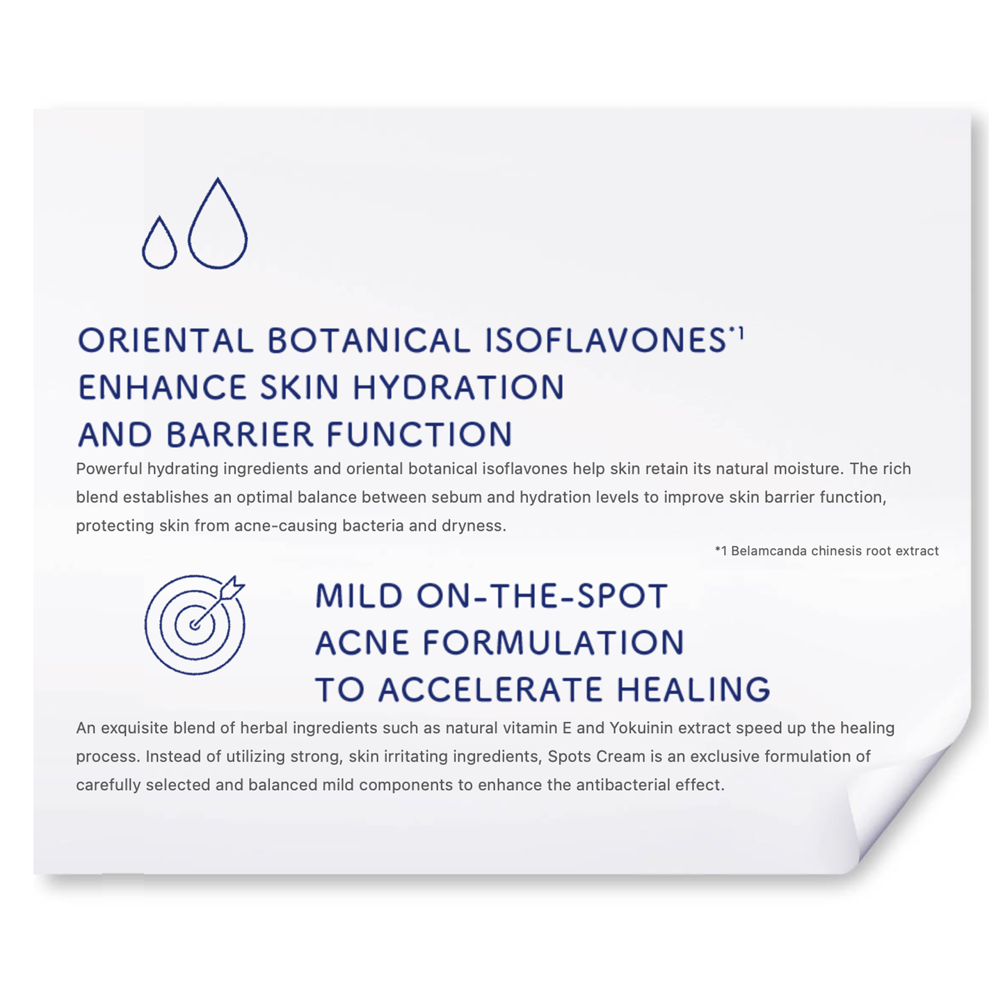 ACNES LABO Acne Patches On-the-Spot Treatment