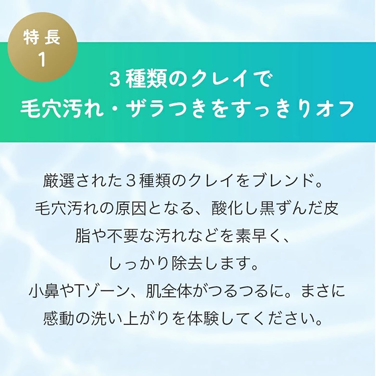 FANCL Clay Gel Face Wash