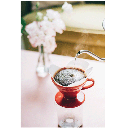 HARIO V60 Red Dripper