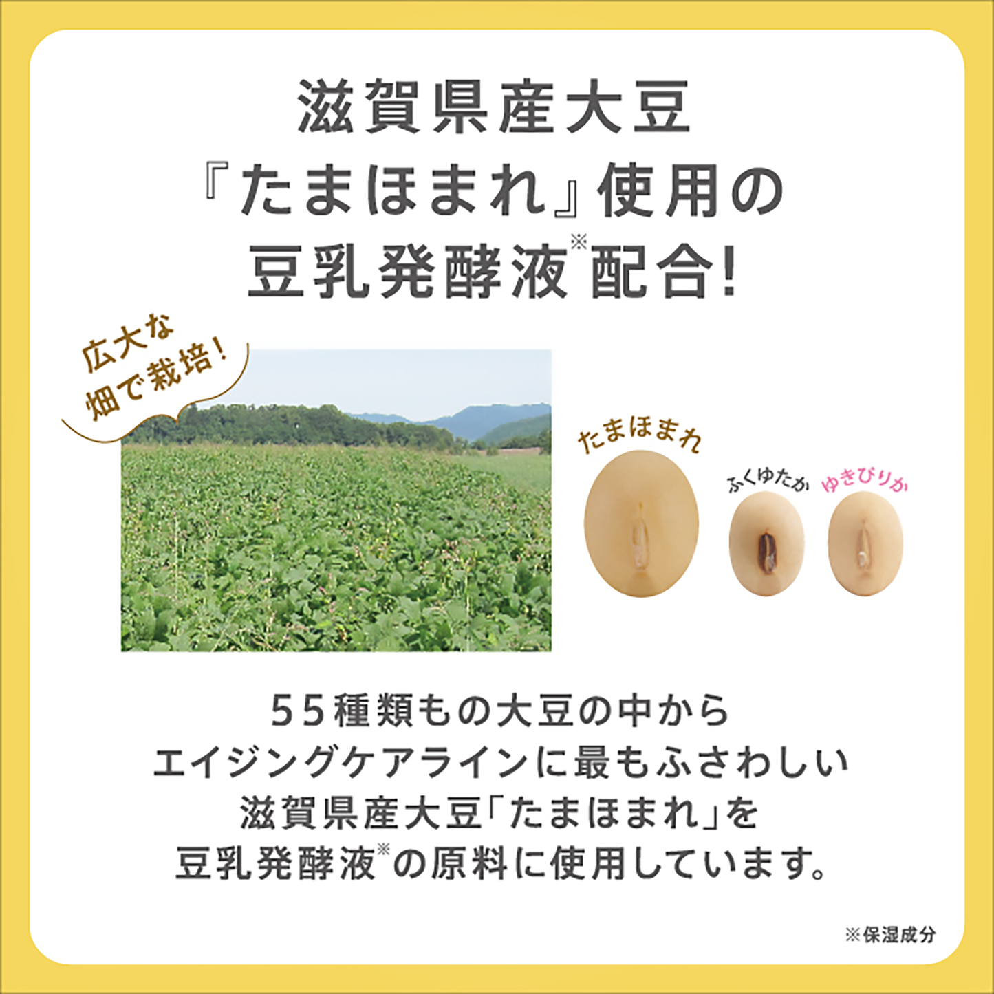 NAMERAKA HONPO Soy Milk Isoflavone Sheer Moisturising Eye Cream