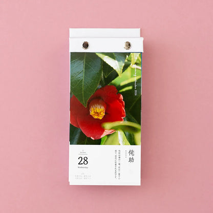 KOYOMI SEIKATSU Japan Morning Daily Tabletop Calendar 2026