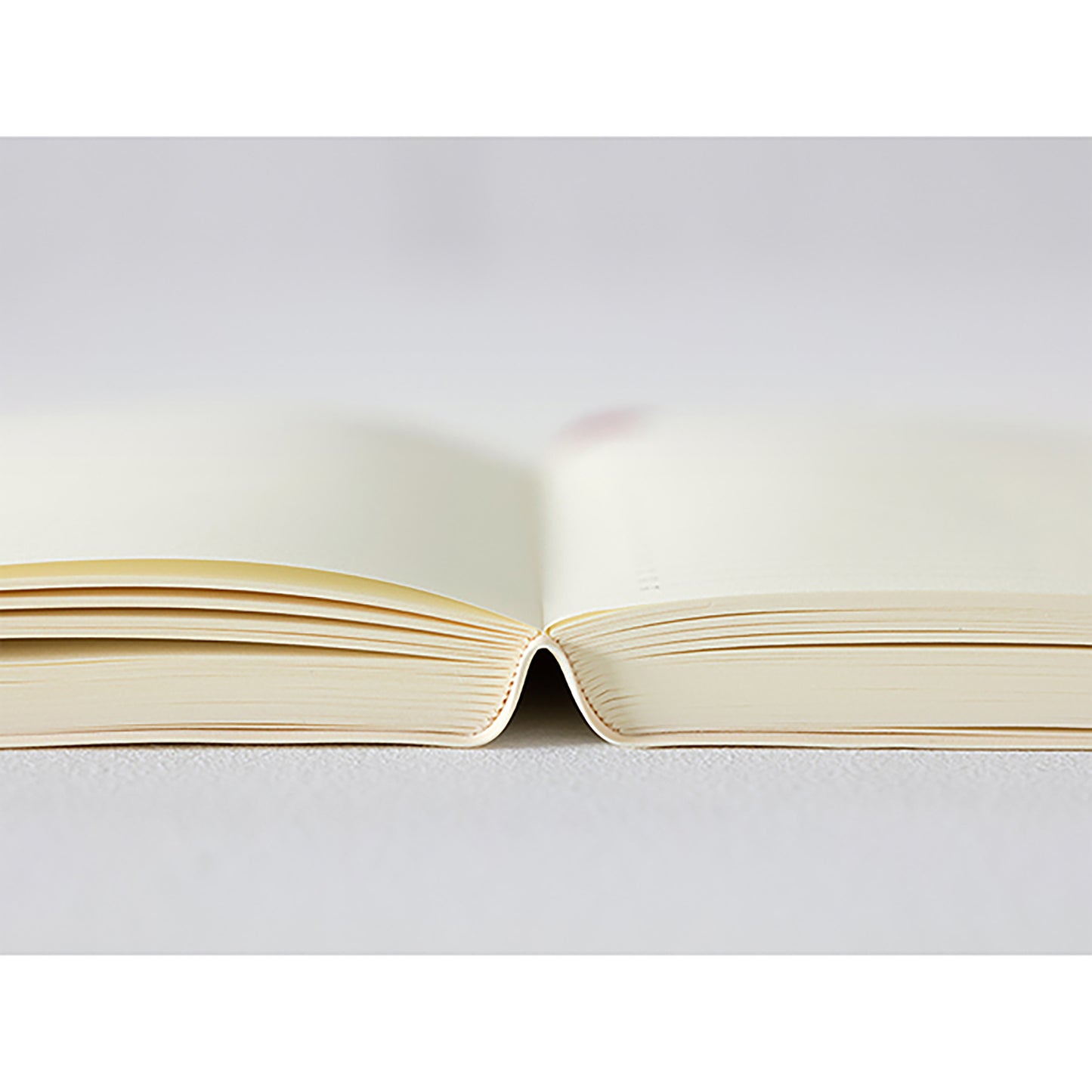 MIDORI 2026 One Page Per Day Diary