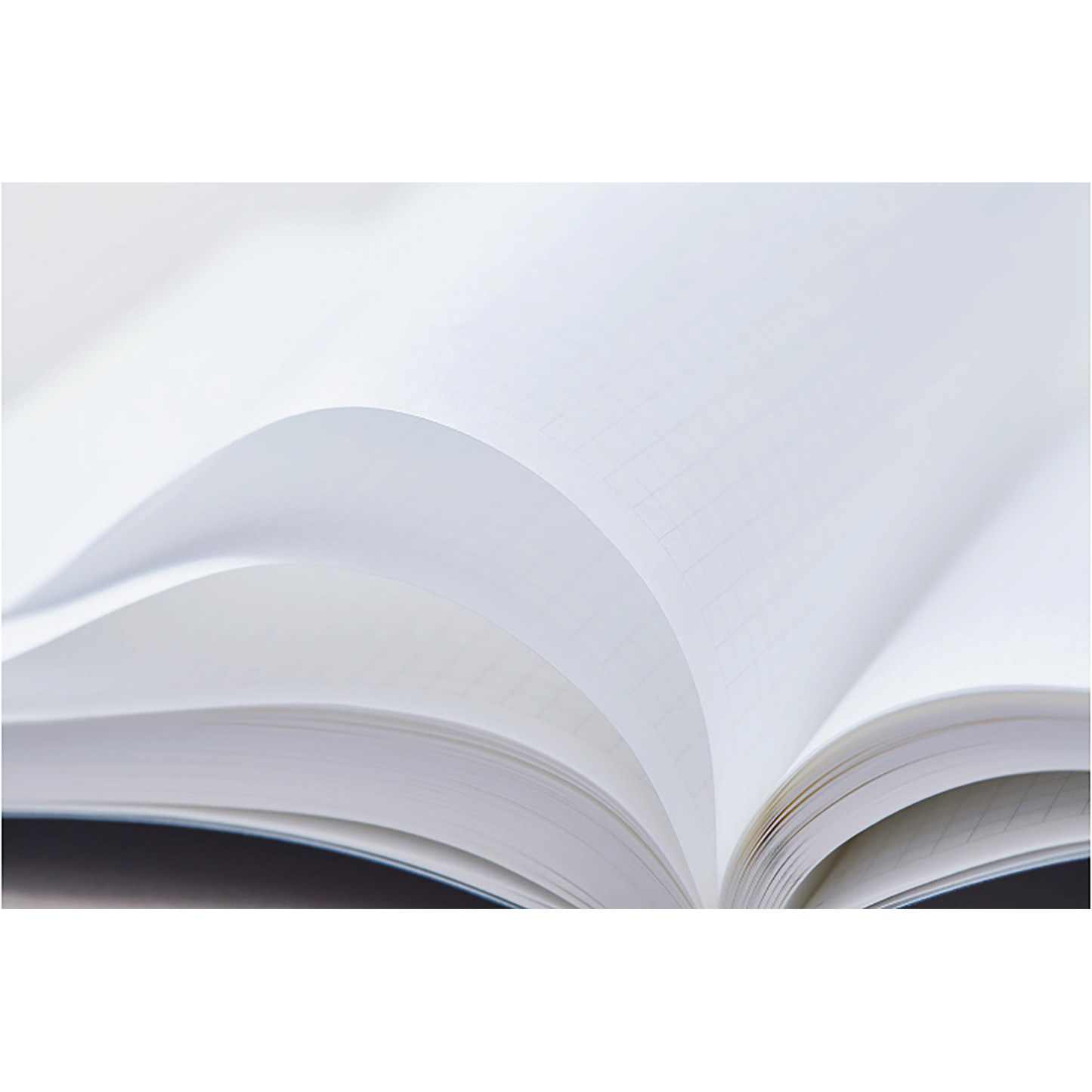 STALOGY Editor’s Series B6 365 Days Notebook Grid