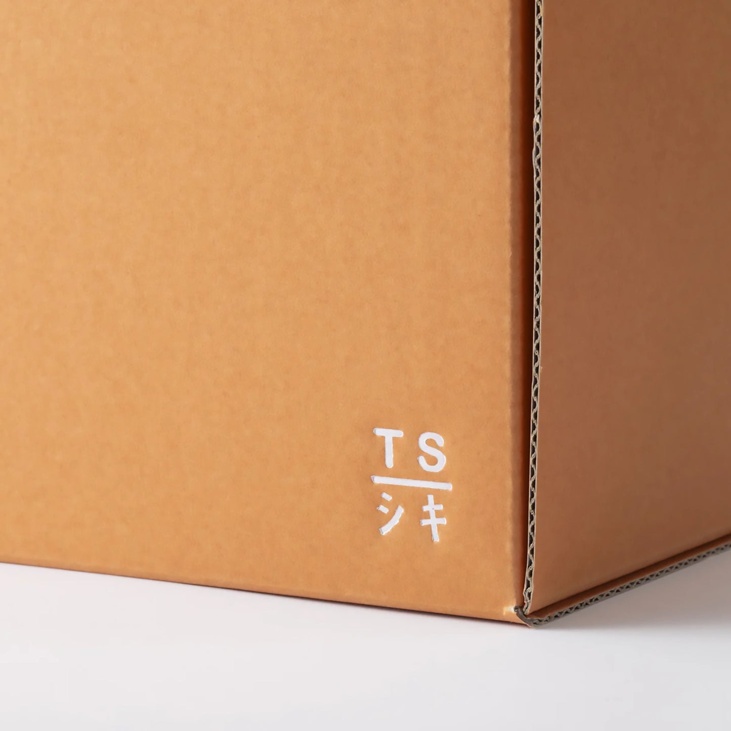 TAISEI Pull Box File Compact